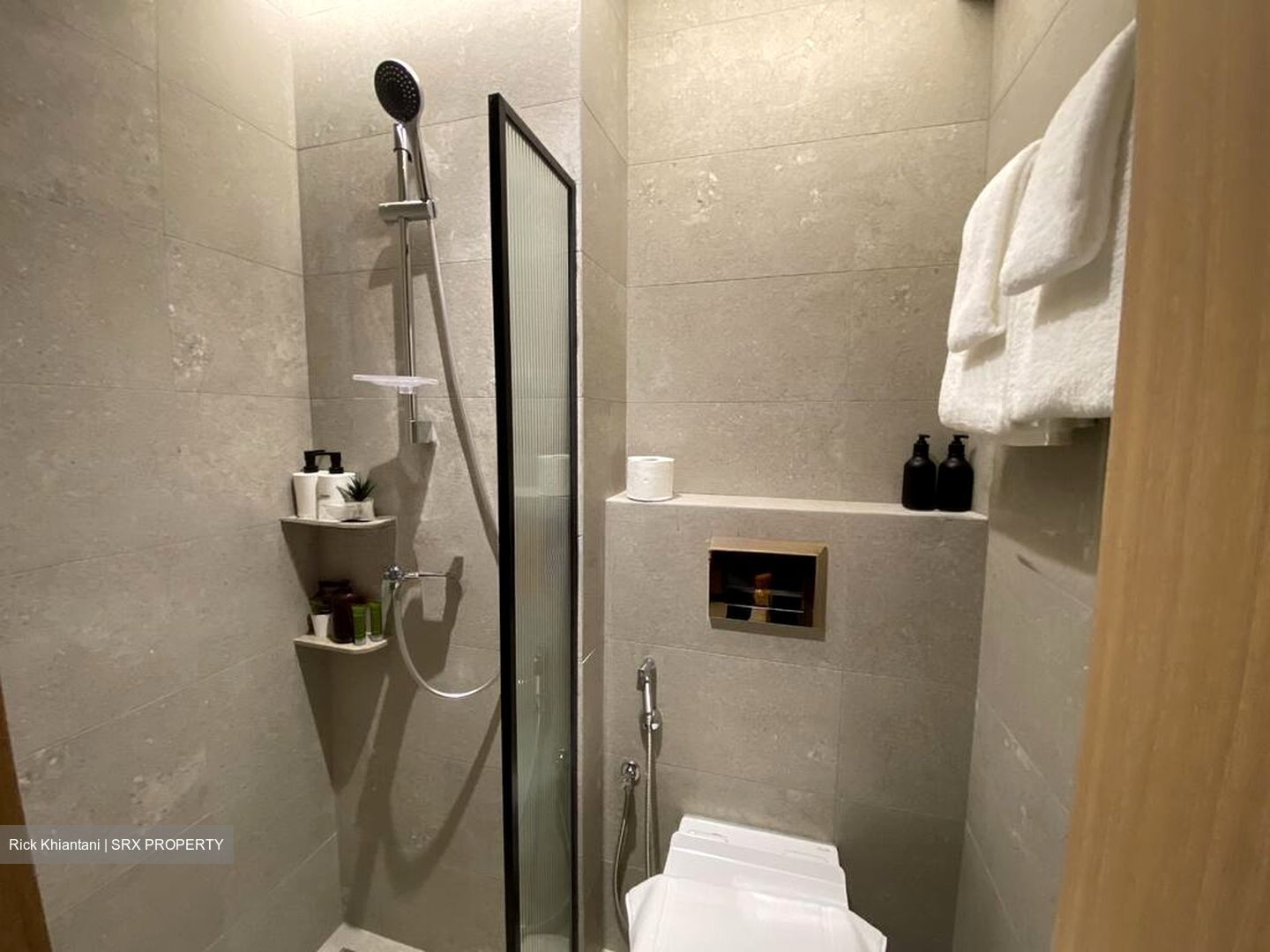 Mount Elizabeth Link (D9), Condominium #497013731